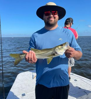 Snook Spot in Florida